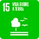 SDG 15