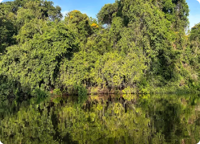 Climate Finance Global South
